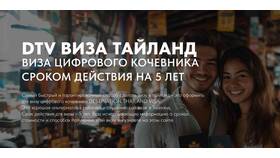 Что такое DTV виза в Евросеть
