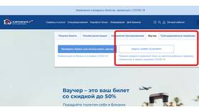 Что такое онлайн-регистрация Аэрофлот