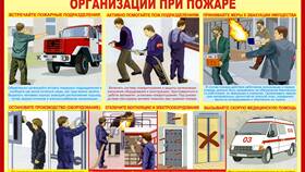 Как организовать эвакуацию взрослых из помещений в Евросеть