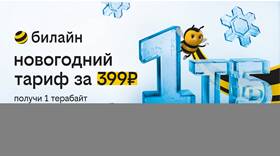 Как узнать остаток интернет-трафика на Билайн в Евросеть
