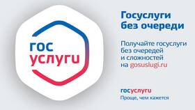 Почему не получается войти через Госуслуги в Евросеть
