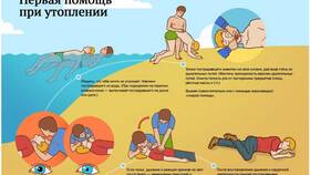 Услуга: что в свою очередь означает это понятие в Евросеть