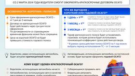 В чем разница страховых компаний ОСАГО в Евросеть